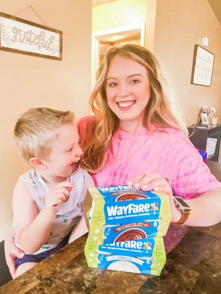 WayFare Dairy Free Pudding Review