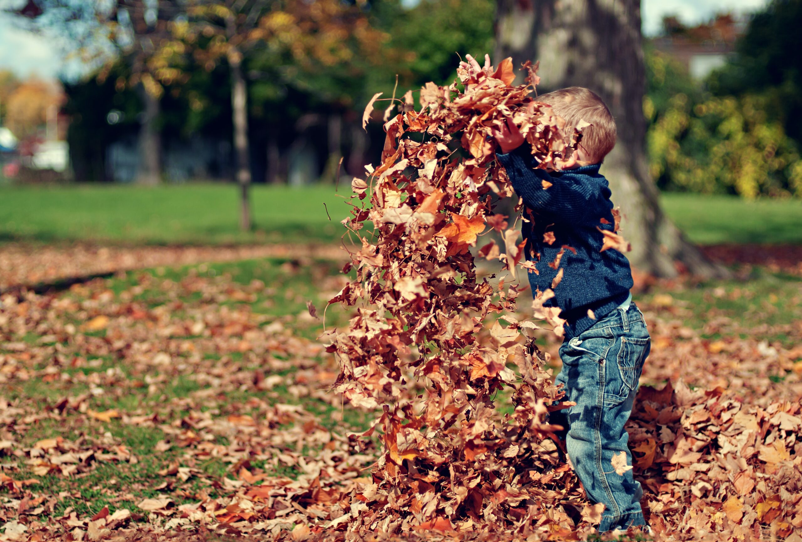 Fall Bucket List for Families with Preschoolers